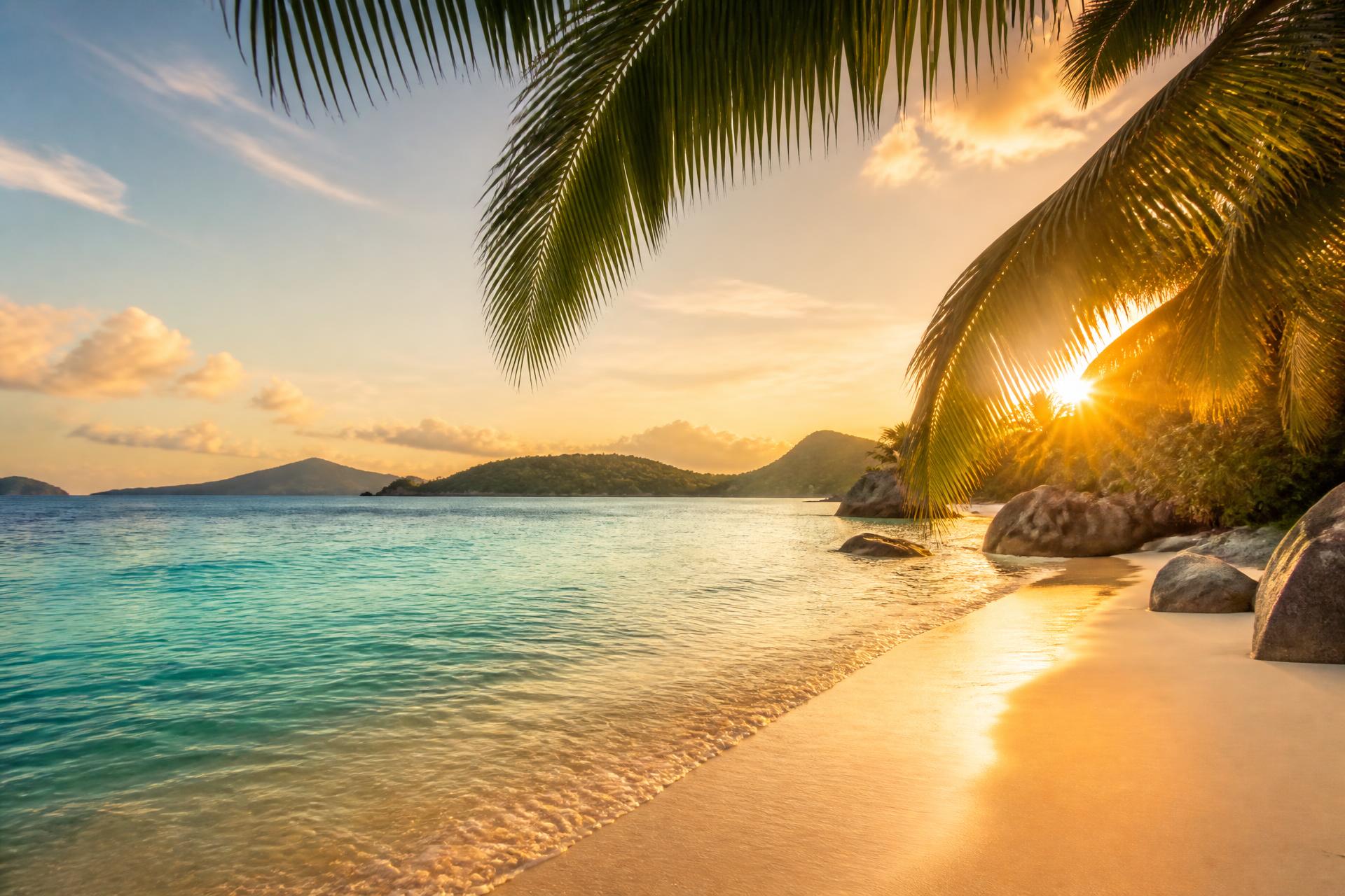 Palm trees over a turquoise tropical bay at golden hour